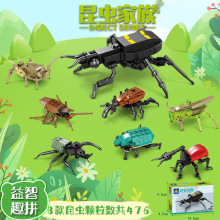 ���������ľģ����붯��С��������ƴװ��ͯ��߿ƽ���������