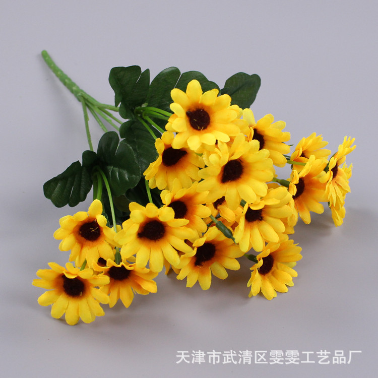 24 작은 해바라기