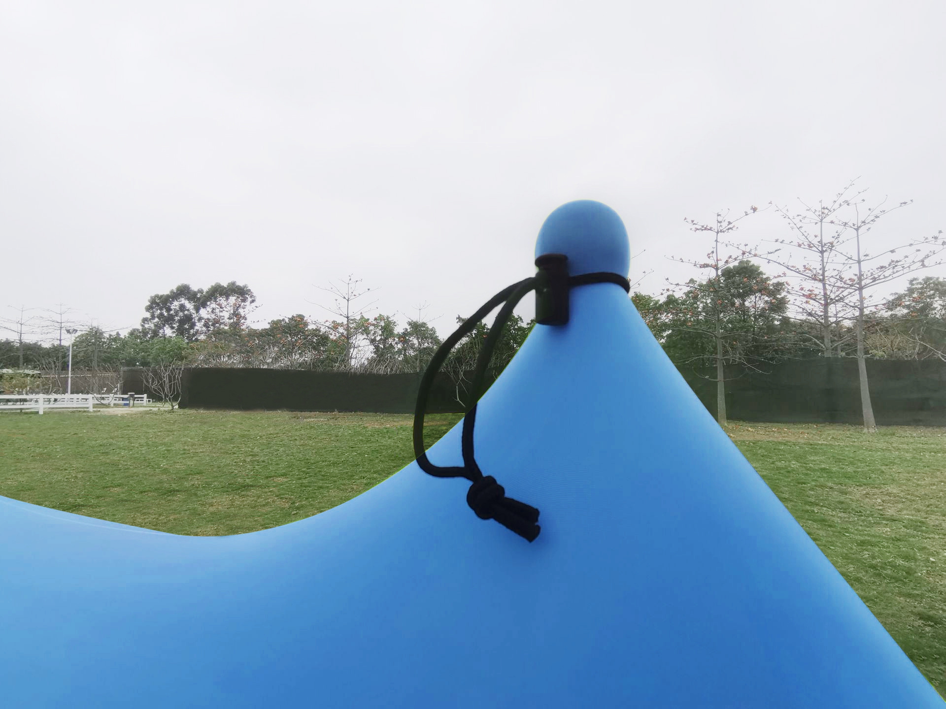 支撑杆加固绳-蓝