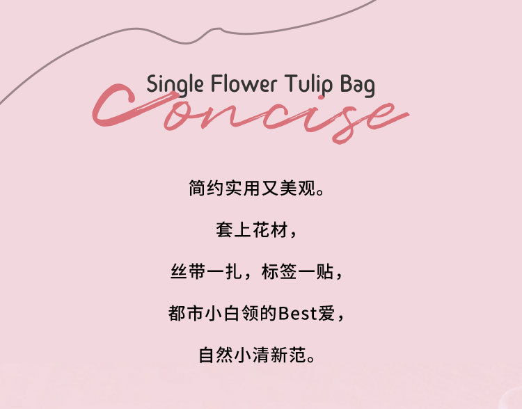 郁金香单支袋昌易详情_02.jpg