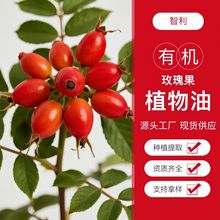 õ������ЙC�����a�^�沿���Ͱ�Ħ���;o�·������A��ԭ�����l