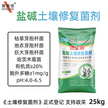 �r�ø����}�|�������ޏ;���΢����ݲ�ѿ�ߗU���޴����ľù����