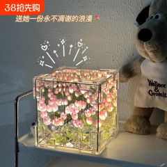 网爆款红郁金香花海小夜灯手工diy魔方立体镜子氛围灯活动小礼物