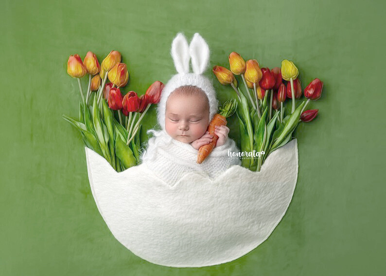 蛋壳背景 (1).jpg