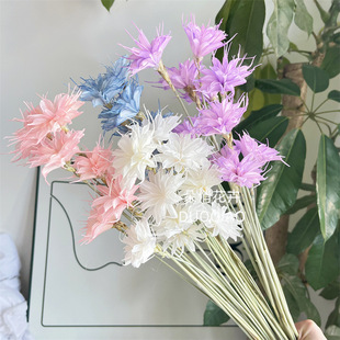 Natural Dried Epiphyllum Buddha Flower Material Immortal Epiphyllum Immortal Epiphyllum Epiphyllum Eternal Flower New Chinese Style Style Flower-arranging Home Soft Flower Set
