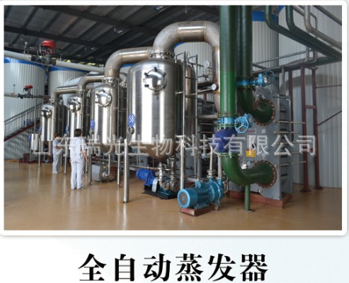 全自动蒸发器.jpg