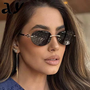 �¿�W���羳����ī�R�r�����X�L�o����߅�E�A̫����Rsunglasses