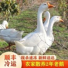 �r��ɢ�B���Z���Z�����Z ��ֻ�F��������r���B���Z �F偟����Z