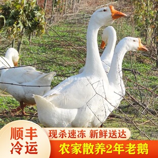 �r��ɢ�B���Z���Z�����Z ��ֻ�F��������r���B���Z �F偟����Z