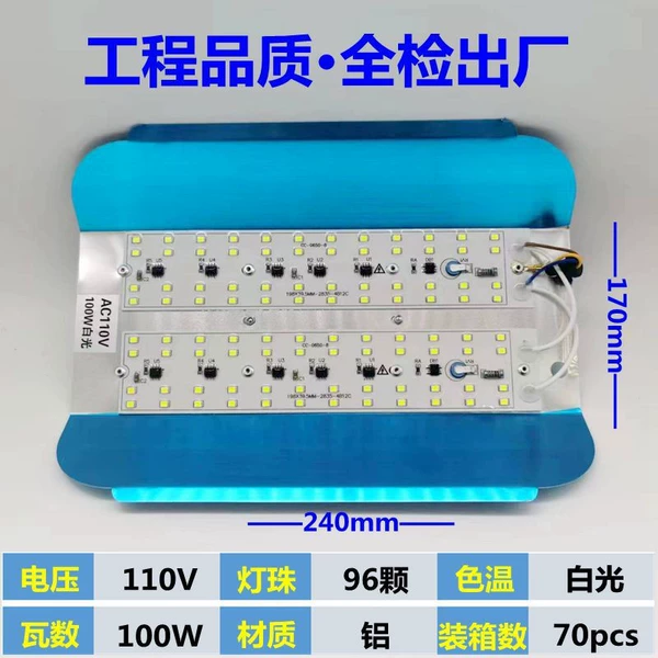110V- 100W white light