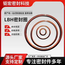 LBH液压防尘密封圈氟胶橡胶油缸油封内孔11.2-230 O型圈 防尘封