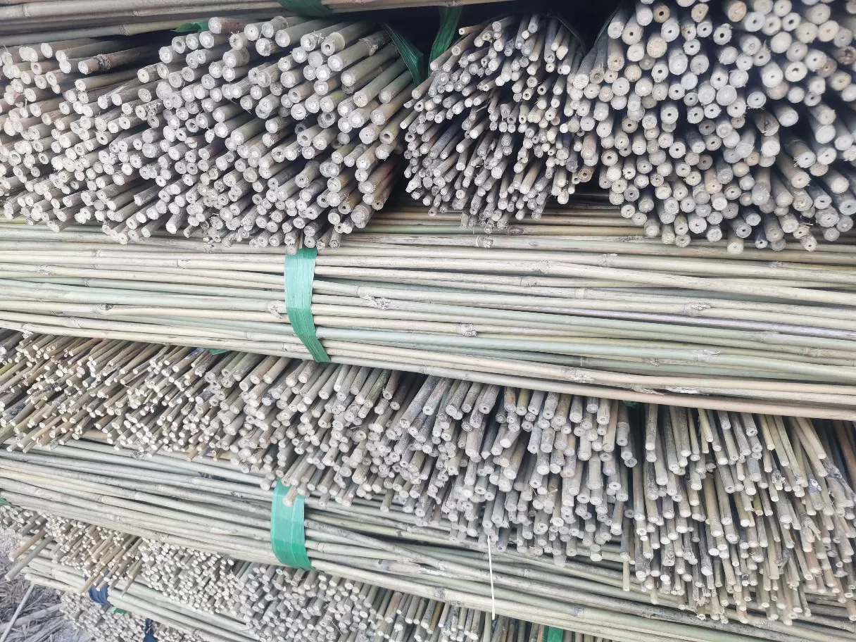 批发毛竹小竹竿农用竹竿园林绿化支撑杆大棚竹杆规格齐全