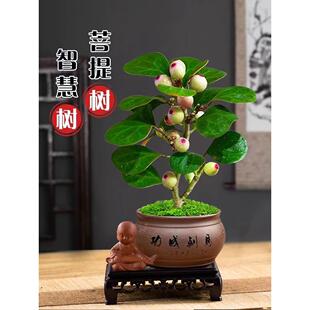 С����������Ԏ����U��[���lؔ���辰�k���҃�����Gֲ�ﻨ��