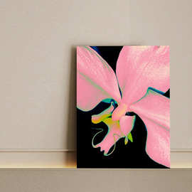 粉色蝴蝶兰静物抽象装饰画现代简约客厅入户门壁画北欧风卧室无框