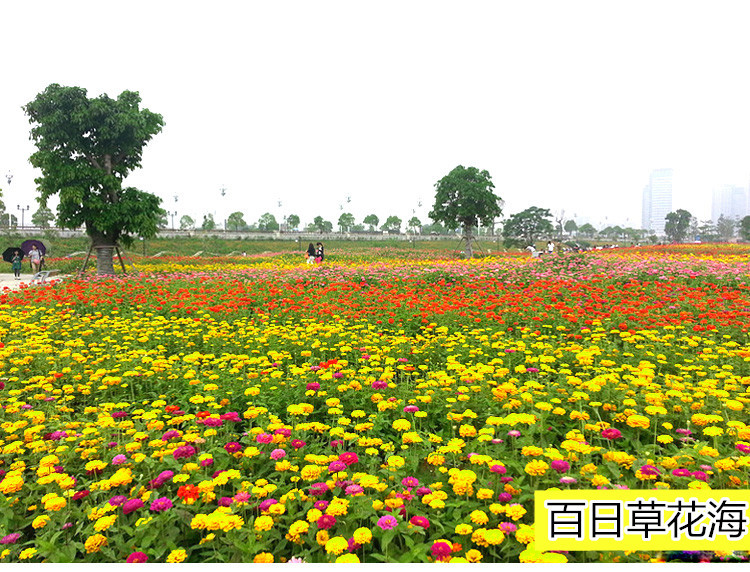 90a82d5d47c1aac97c20fc2fedc8bd