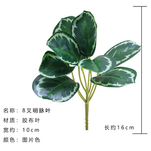 ����ٻ��Gֲ�辰����[���҃ȼҾӲ����k�������컨����ֲ��
