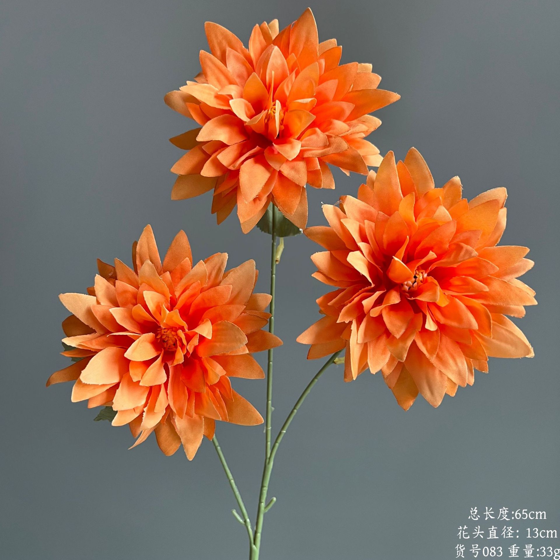 품목번호 083-불꽃국화