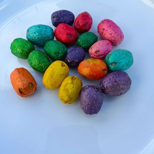 ��ֲ���Ʒ����ɻ��������۹�������ͨ��������ș�����۹��䱳��