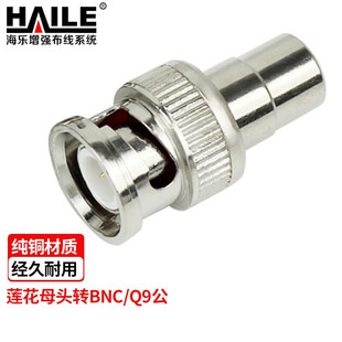 HAILE ɏ��ĸ�^�DBNC��Q9�^AV��ҕ�l���^ 2M-2LH-1BNC