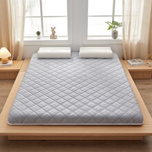 2025床護墊褥軟墊褥子薄款防滑席夢思保護墊被床褥墊鋪底酒店家用