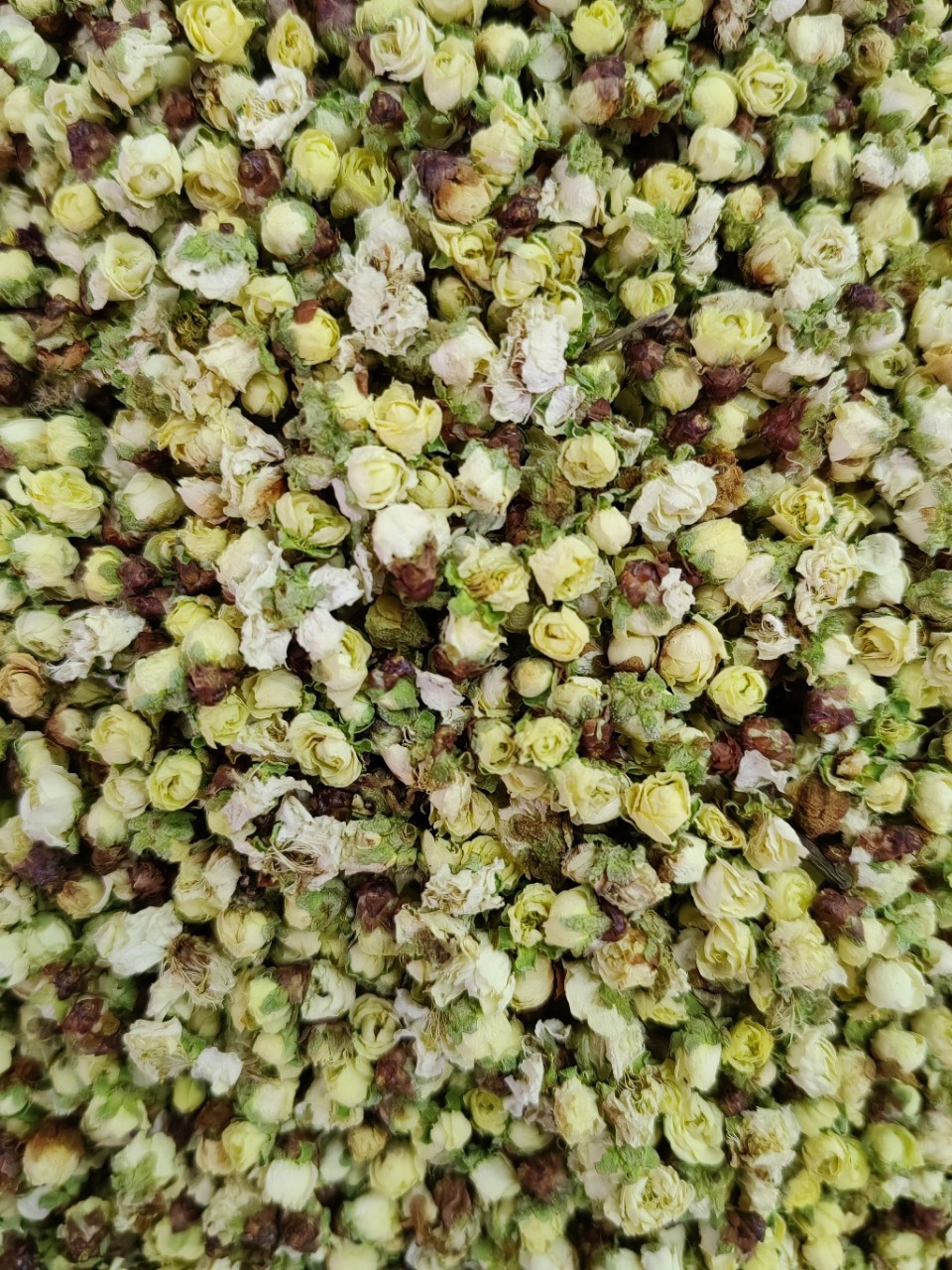 Green Plum Blossom (Prunus mume) — Dried Floral Herb for Tea & Seasonal Blends key features