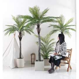 仿真椰子树假椰树盆栽热带植物室内外装饰仿真蒲葵树盆景设计造景