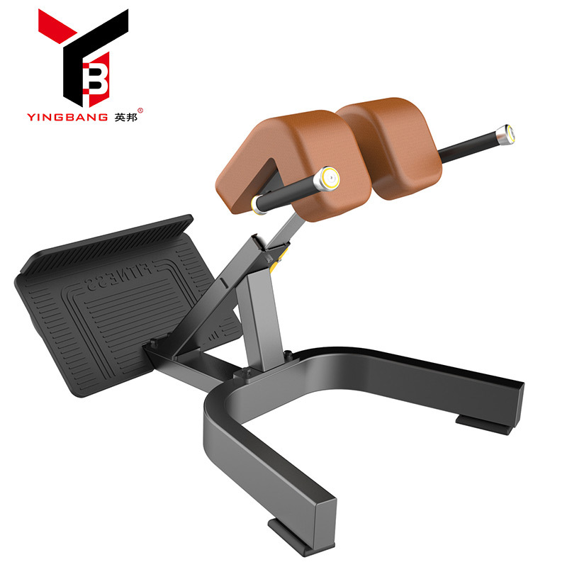 健身房自由力量系列 罗马椅 牧师椅 平凳 健身器材|ms