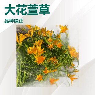 2026�|���|����������� ��������� �t����ݮa�����l