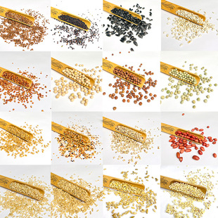 ���x�B�Z�W�^�Z���Z�����Bʳһվʽ���N���lһ�����l