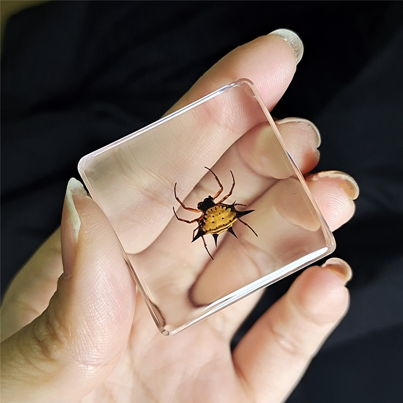 밝은 노란색 뿔거미