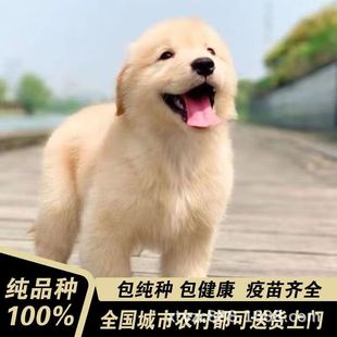 �pѪ�y��ë��Ȯ���w���N��ë��äȮ����Ȯ�o�lȮ����Ȯ���ﹷ����