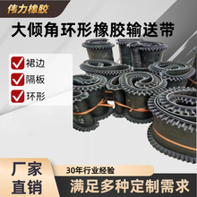 工业尼龙橡胶传送带 大倾角波纹裙边挡板环形输送带 裙边隔板环形
