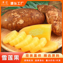 ѩɏ�����rˮ�������֭�������������ɽƤ��������l�r�F�ڬF�l