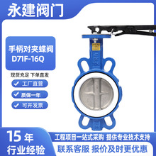 四氟对夹手动蝶阀D71F-16Q耐高温耐酸碱手柄对夹式四氟水利蝶阀