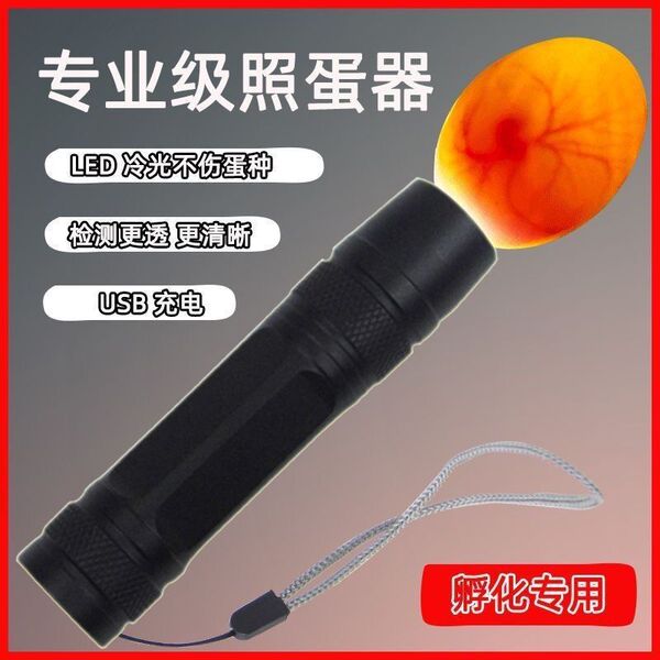 Cross-border egg detector incubation rechargeable LED flashlight small egg test rutin egg fertilization rate egg lamp wholesale