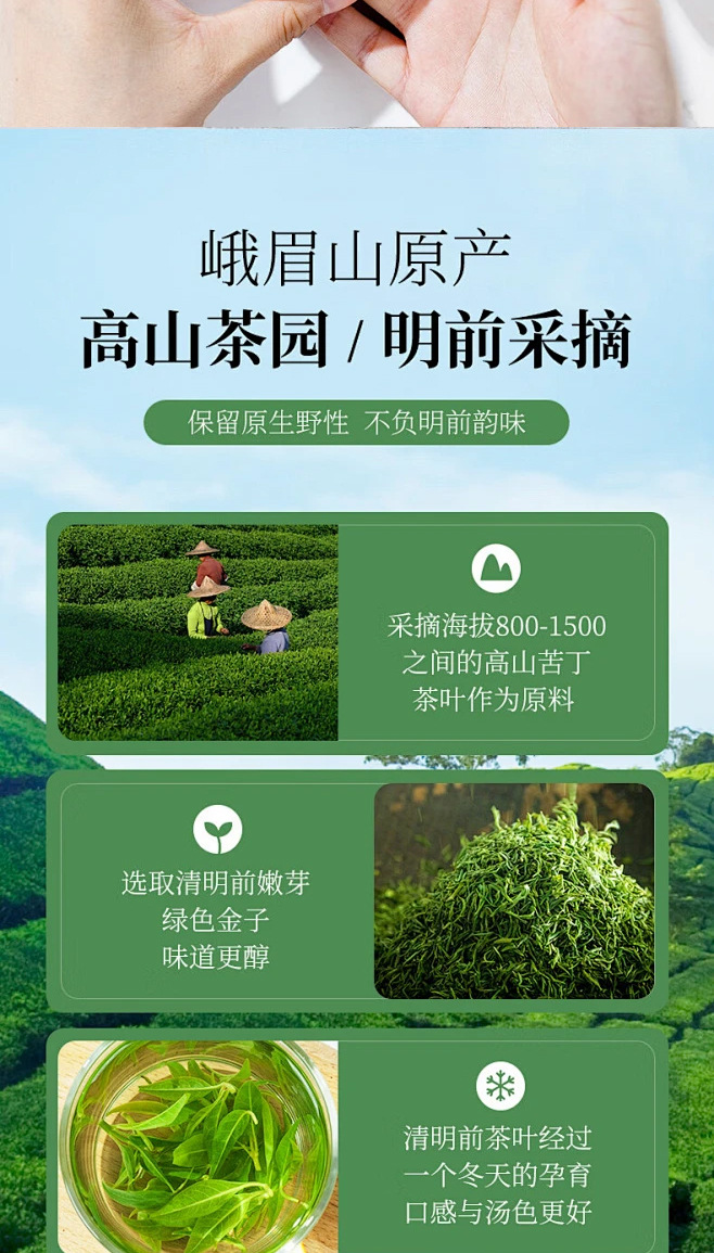 Small Leaf Kuding Tea Premium Tender Bud Bags 30g Canister Daily Wellness Brew key features