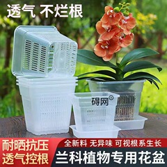 水耕植栽バスケット、厚く通気性のある正方形のポット、プラスチック固定バスケット、水槽の鉢植えのポトス蘭の根を制御するための特別な植木鉢