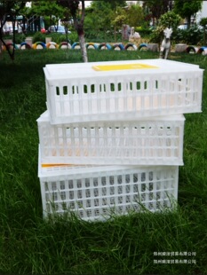 �u�\ͮ�������¿��ÿ���u�����D���������u�\ݔ�\�����L���μӺ�