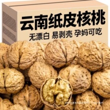 2026新货云南新鲜纸皮老树核桃儿童孕可吃妇原味核桃仁官方旗舰店