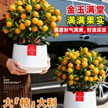 ��ۘ�����������ٿ�ʳ�Î�����Ƥ�ļ����ӿ͏d�҃��⻨�ܾGֲ��