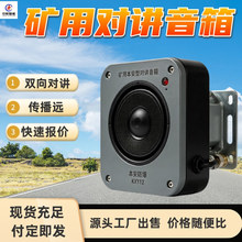 KXY12(B)矿用本安型扩播音箱 定时播音 矿用本安型广播对讲音箱