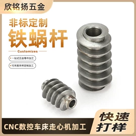 CNC加工;蜗杆