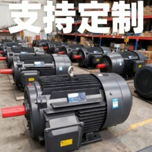 YE3ȫ�~��Ч늙C55KW/4/380/1460rԴ�^���S��