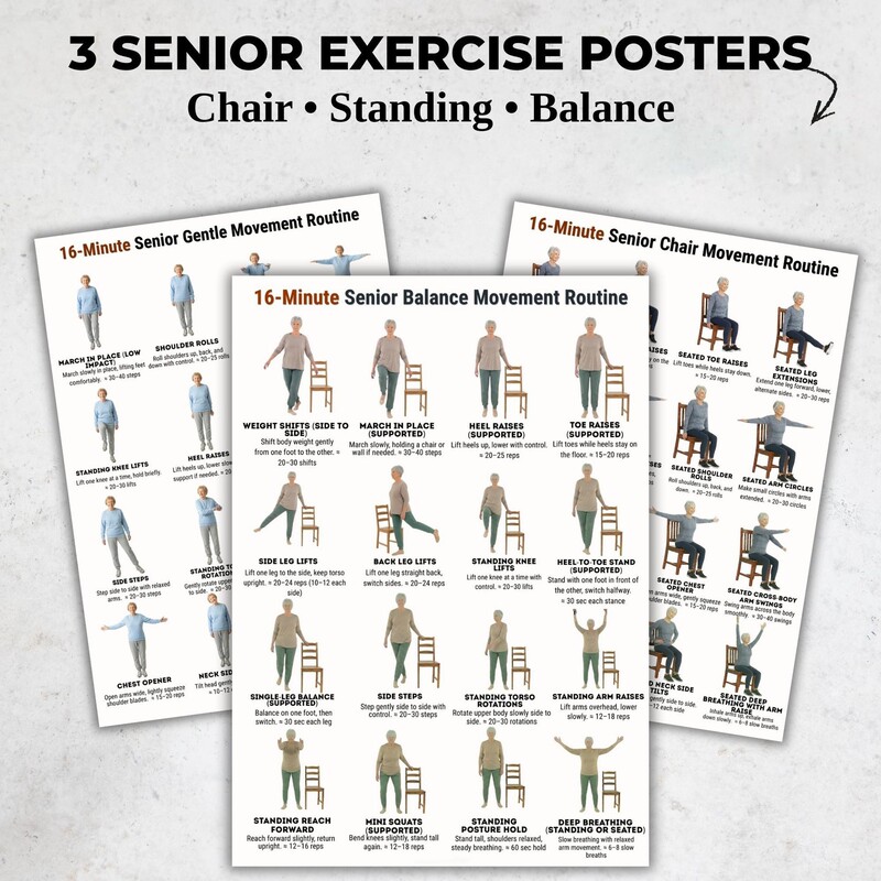Cross-Border New Standing Chair Exercise Poster for the Elderly, Balance Practice Training Schedule, Exercise Check-In Record Sheet Cross-Border New Standing Chair Exercise Poster for the Elderly, Balance Practice Training Schedule, Exercise Check-In Record Sheet