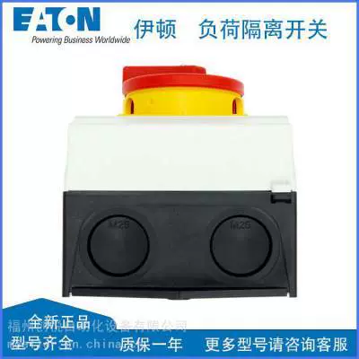 Изолирующий выключатель EATON P3-63/I5/SVB 207373 P3-100/I5/SVB настенного монтажа