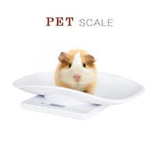 兽医动物家用迷你电子秤家用小型厨房秤电子克称10kg猫宠物体重秤