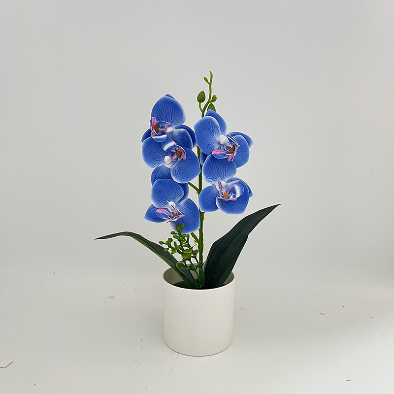 블루(높이 31*폭 17cm)