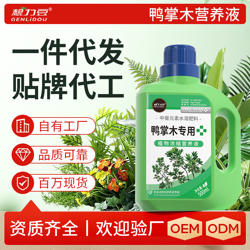 Rooting Liquid for Beans and Duckbill Wood, Concentrated Nutrient Solution, Plant Fertilizer, Foliar Organic Fertilizer, Green Plant Rooting Liquid