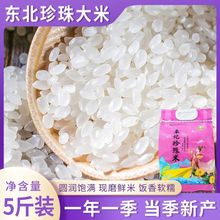 365天年新米东北稻花香大米5斤2.5kg珍珠大米圆粒米粳米