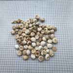 工厂商至信恒义道地中药材不熏硫磺原生态四川野旱半夏